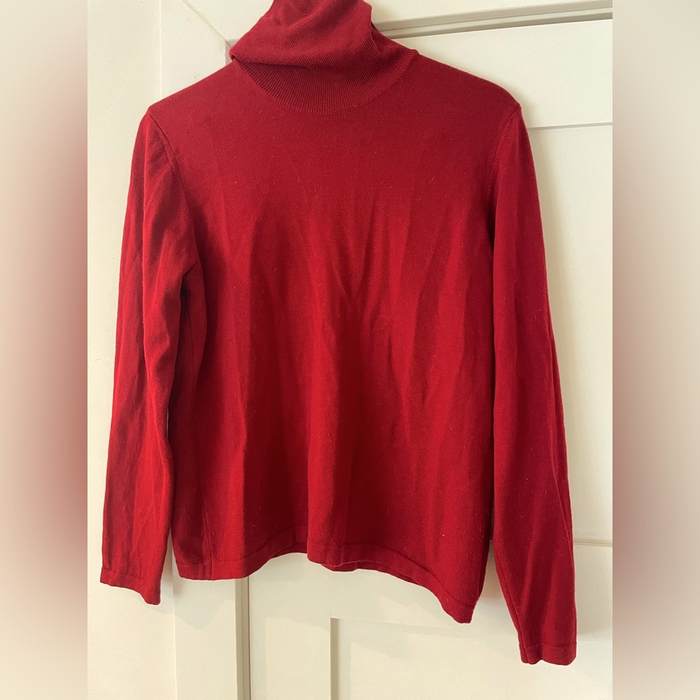 Wool Turtleneck Sweater